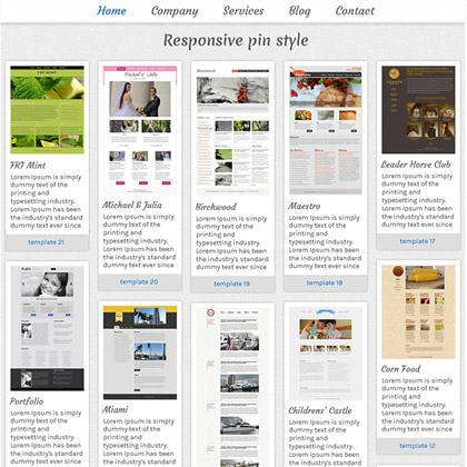 攻击网站的方法